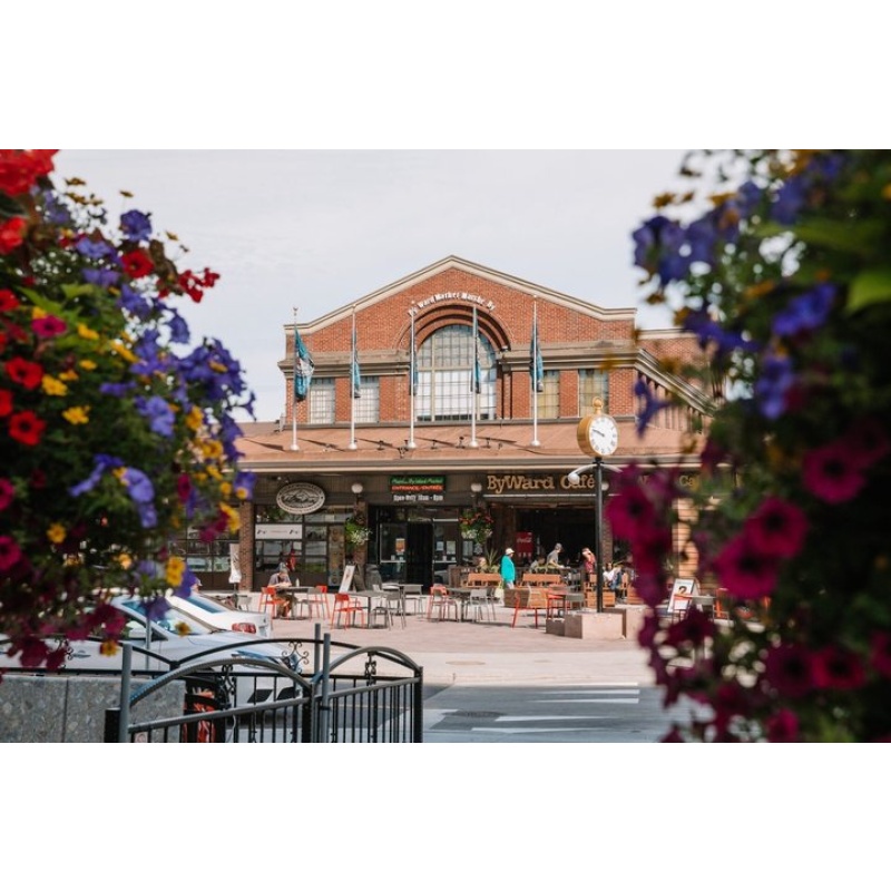 Ottawa Tulip Festival Day Trip from Toronto with Lunch option
