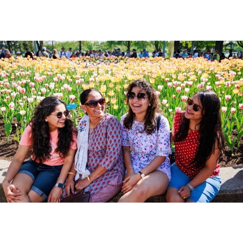 Ottawa Tulip Festival Day Trip from Toronto with Lunch option